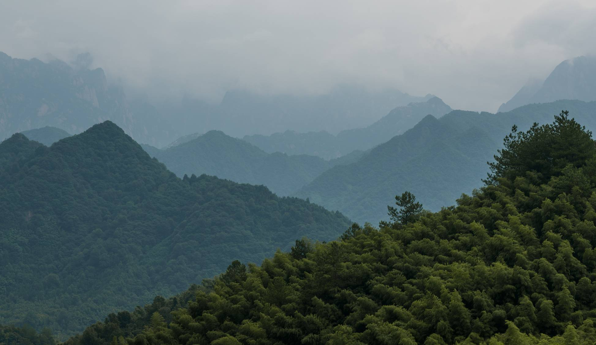 安徽黄山九龙峰公益保护地