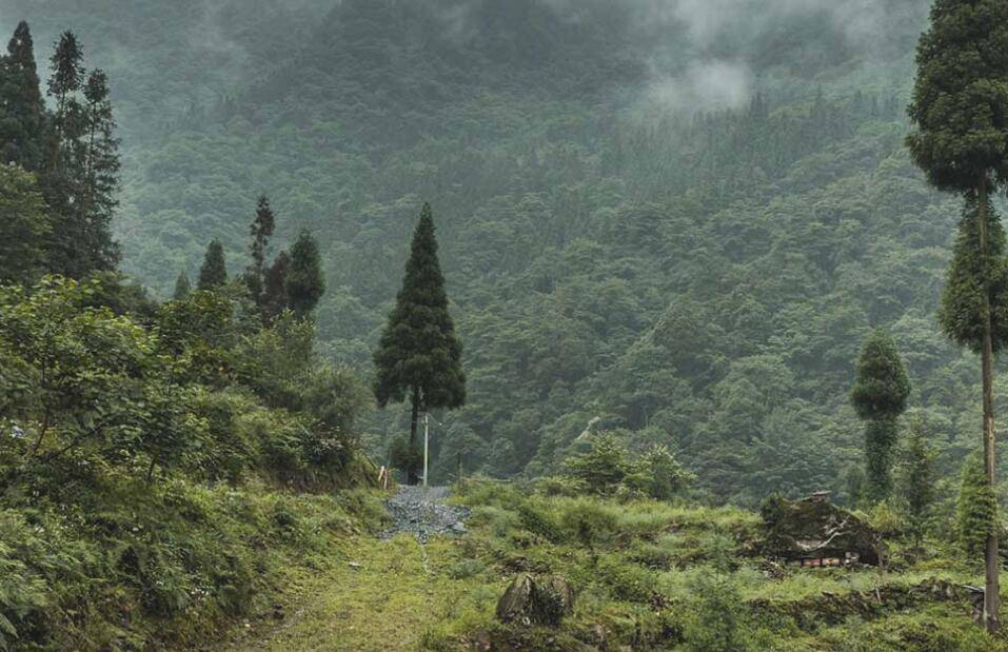 四川黑水河保护地