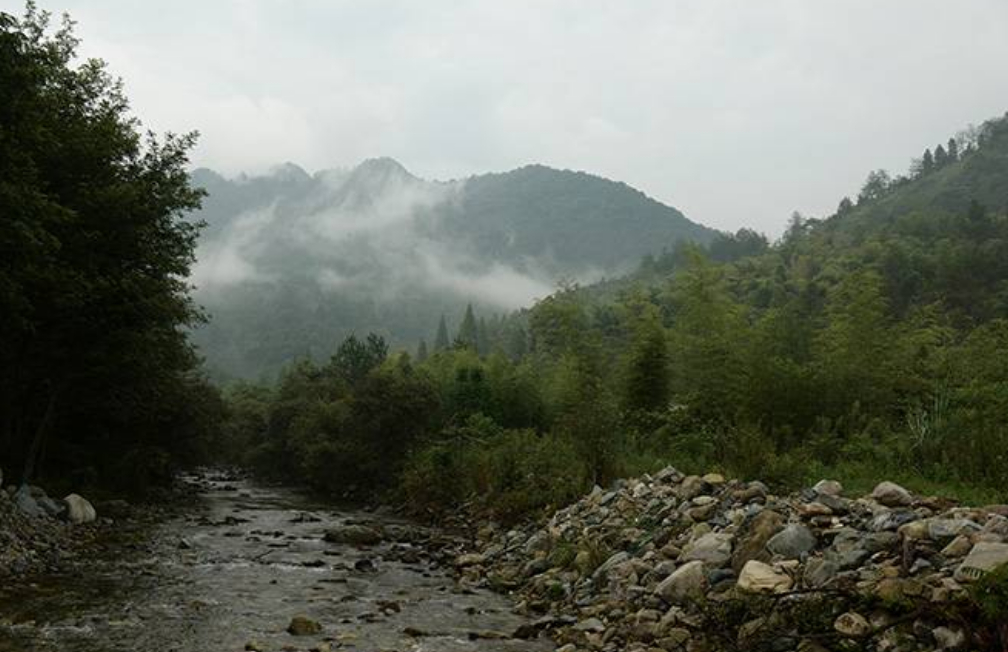 李子坝协议保护地